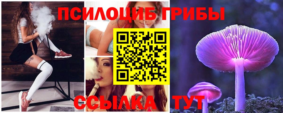 Галлюциногенные грибы Psilocybine cubensis Краснотурьинск