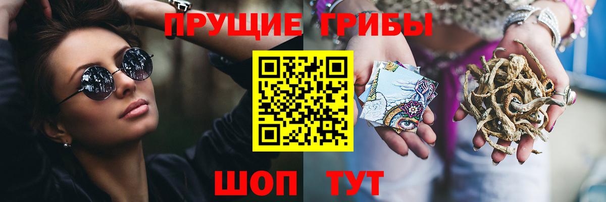 Галлюциногенные грибы прущие грибы  что такое наркотик  Вход с VPN  Краснотурьинск  Псилоцибиновые грибы Psilocybe 